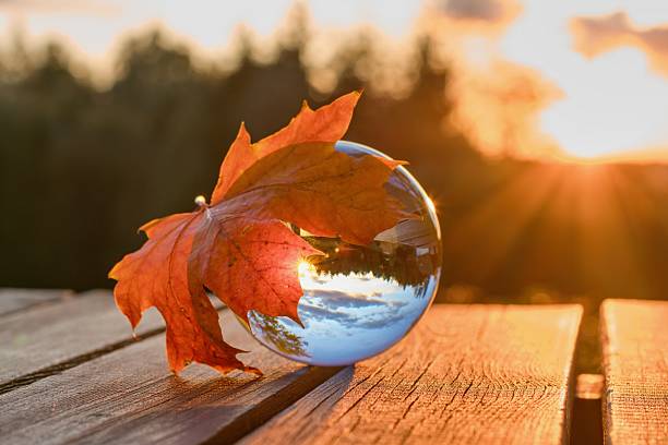 istock Lens ball creative photography, autumnal landscape reflection 2240942844
