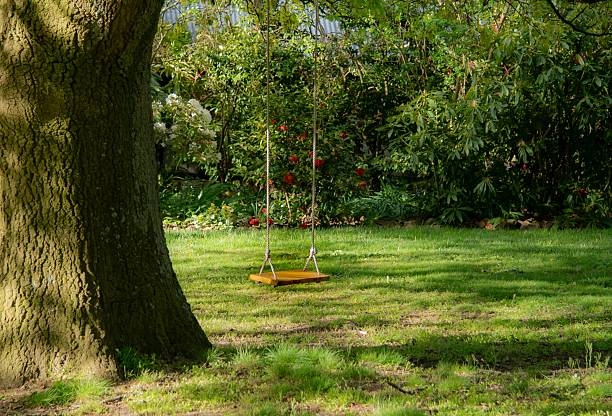 A swing on two ropes is hanging from an old oak tree in a sunny garden setting