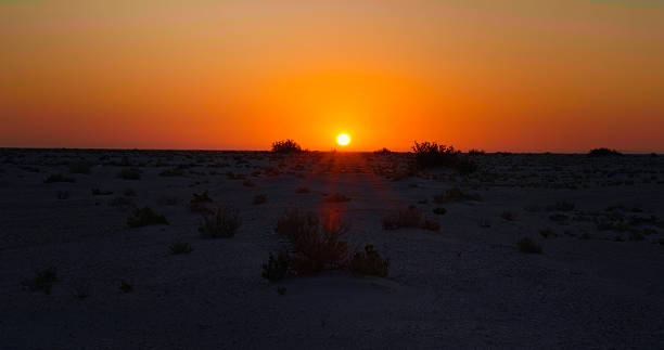istock Sunset landscape in safari Sahara. 2240943489