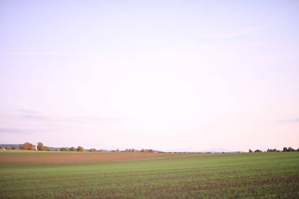 Night sky with stars and clouds over a peaceful field, beautiful nature composition and atmospheric landscape.