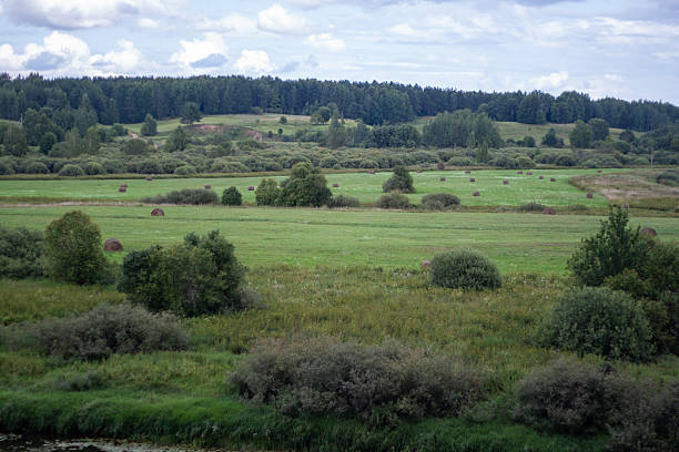 A wide open field of bright green grass bordered by dense vegetation under a partly cloudy sky.