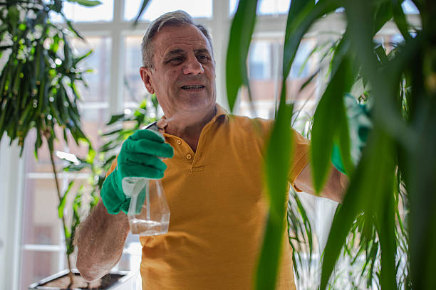 istock Lonely elderly man, has a hobby, taking care of houseplants 2240949764