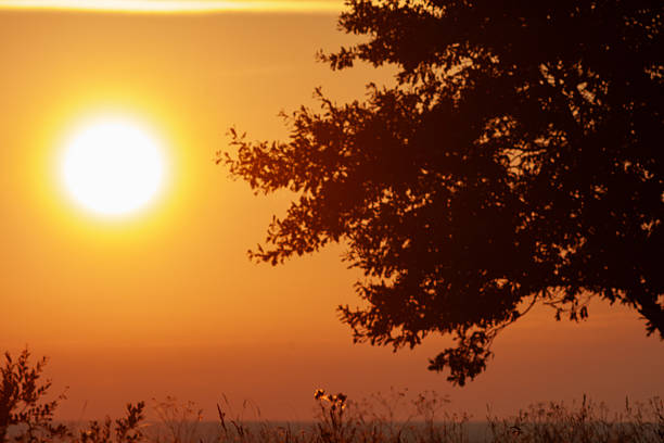 A tranquil scene at sunset in nature.