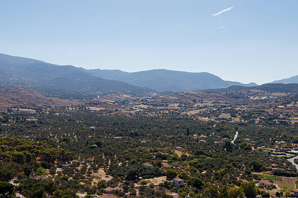 istock A scenic landscape with rolling hills, scattered trees, and distant mountains under a clear blue sky. 2240952727
