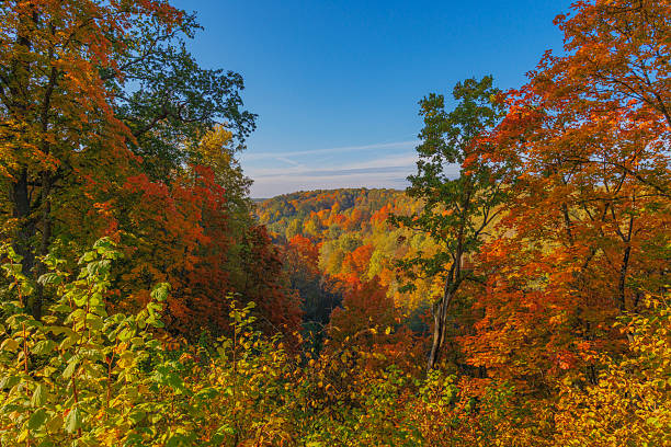 istock A Stunning Autumn Landscape Featuring Vibrant Trees, Bright Colors, and a Clear Blue Sky 2240952777