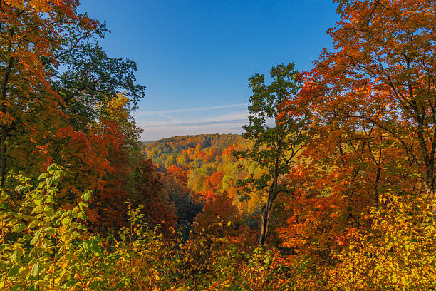 istock A Stunning Autumn Landscape Featuring Vibrant Trees, Bright Colors, and a Clear Blue Sky 2240952804