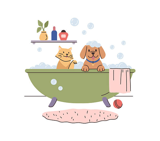 istock Cat and dog in bathtub, happy clean pets 2240952947