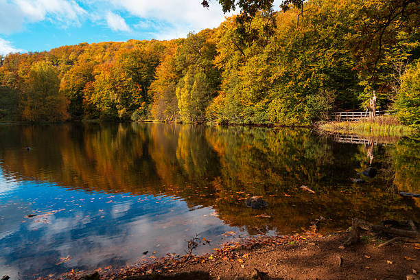 Beautiful autumn colors at Soderasen National Park in Sweden.