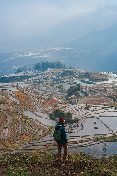istock Man looking at rice paddy in Yuanyang, China 2240958143