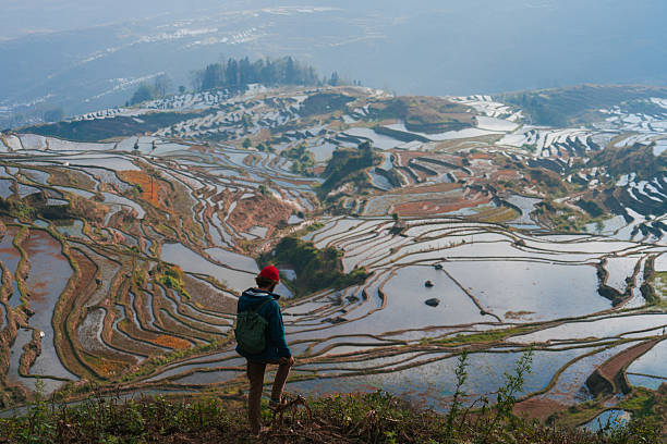 istock Man looking at rice paddy in Yuanyang, China 2240958144