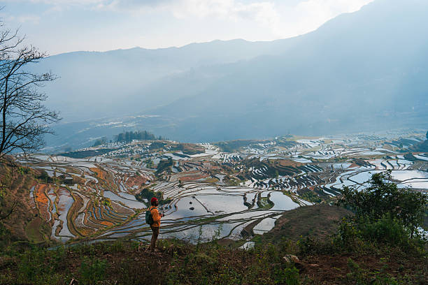 istock Man looking at rice paddy in Yuanyang, China 2240958150