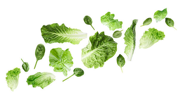 istock Fresh lettuce and spinach leaves flying against white background 2240958272