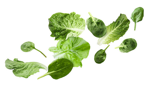 istock Fresh lettuce and spinach leaves flying against white background 2240958332