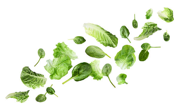 istock Fresh lettuce and spinach leaves flying against white background 2240958350