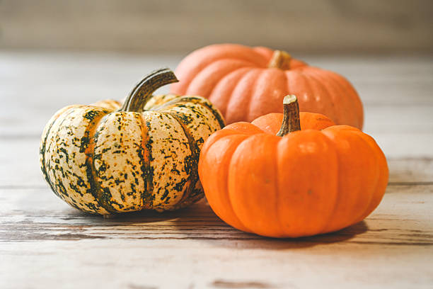 istock colorful ripe pumpkins 2240958887