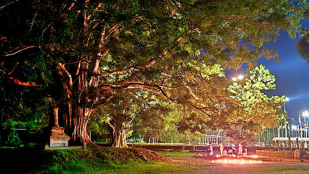 istock Buddhist culture in fullmoon night Sri Lanka 2240962916