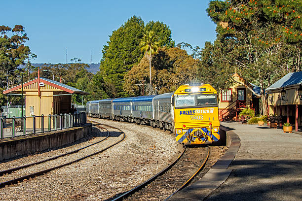 The front of an old steam train surrounded by billowing steam. The vintage locomotive stands out with its classic design. Perfect for themes related to historic trains, transportation and nostalgia