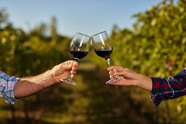 istock Two people toasting red wine glasses in vineyard 2240963789