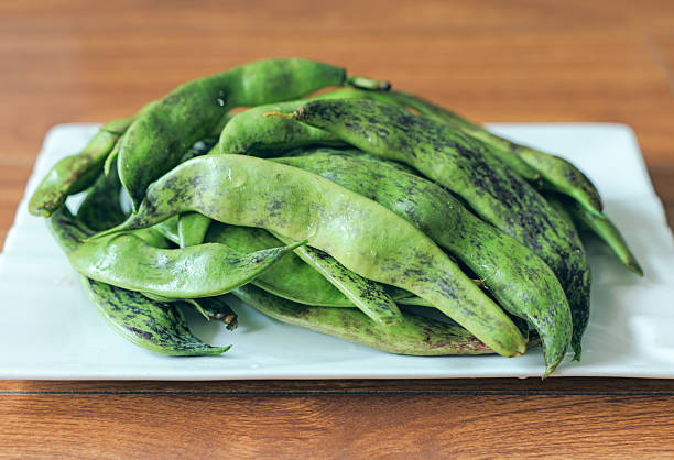 Lentil