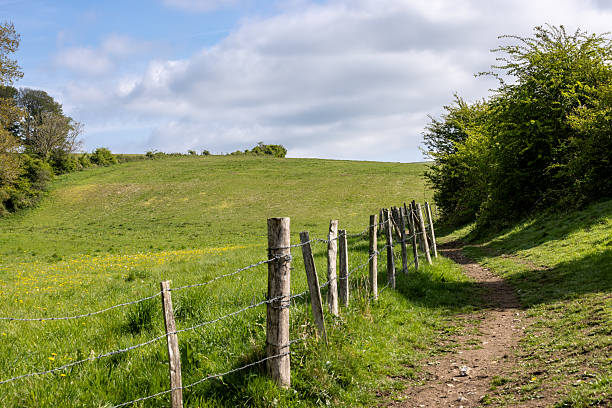 Looking along a footpath in the South Downs, with a fence to one side
