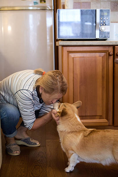 istock Senior Woman Playing With Corgi Dog in Kitchen 2240965707