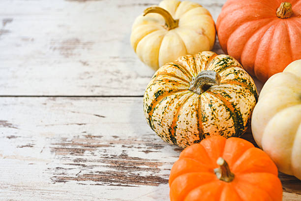 istock colorful ripe pumpkins 2240966207
