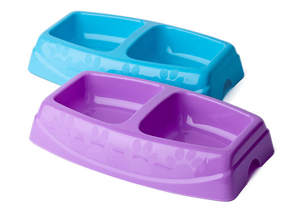 istock New plastic pet bowl isolated on white 2240968010