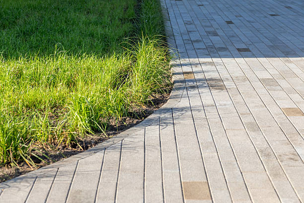 istock Border between paving and grass lawn in pedestrian area, concrete and vegetation combination. Improvement of adjacent territories, public urban areas. Real photo 2240968400
