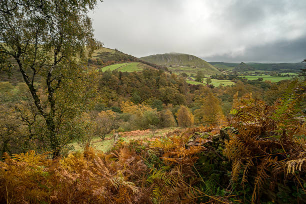 istock Autumn Colours in the Peak District National Park 2240969671