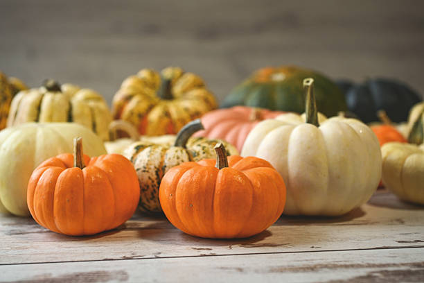 istock colorful ripe pumpkins 2240969886
