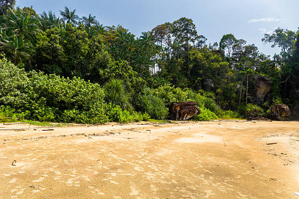 istock Lush Tropical Jungle on a Remote Malaysian Beach 2240970924