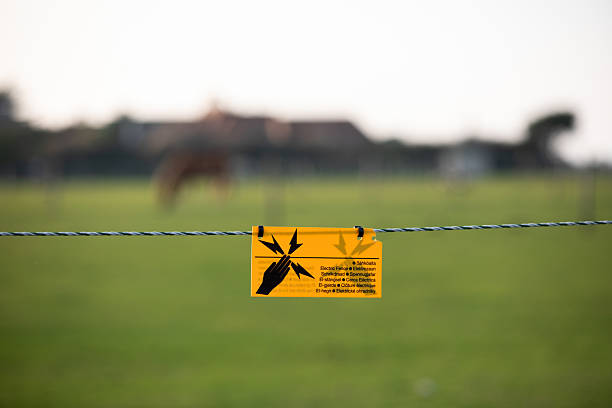 A cautionary sign mounted on an electric fence, standing in contrast to the lush greenery of the forest at Møns Klint. The image highlights safety measures in a natural environment, ensuring visitors are aware of potential hazards. The dense foliage in the background emphasizes the coexistence of human-placed boundaries and untamed woodland.
