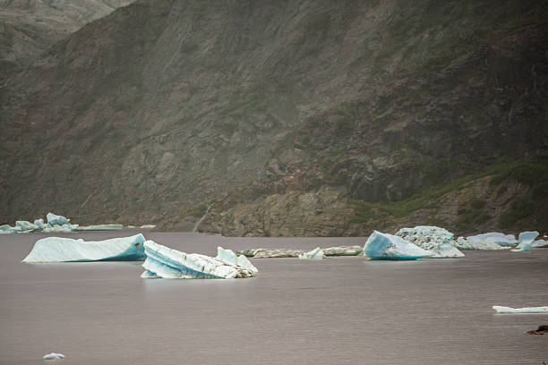 Juneau Alaska, USA, August 28, 2011, Mendenhall Glacier is a glacier about 13.6 miles long located in Mendenhall Valley, about 12 miles from downtown Juneau , Alaska