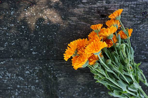 istock Beautiful orange Calendula flowers on wooden table, top view. Space for text 2240989148