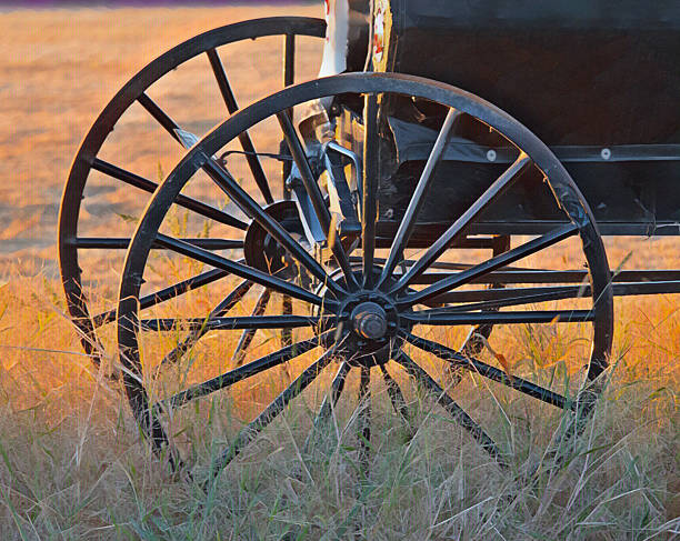 Vintage wooden wagon wheel and plow