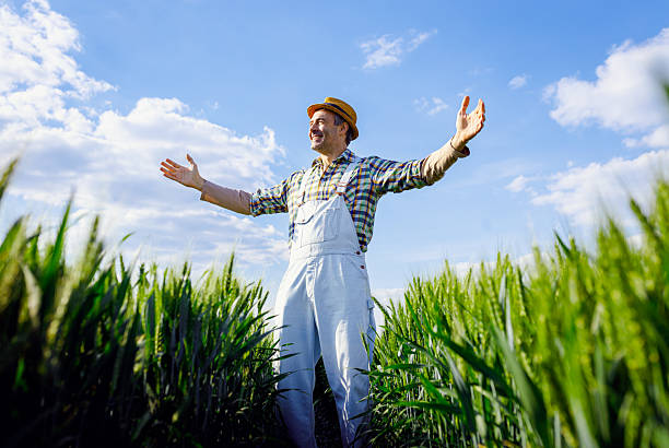 istock Smiling farmer standing in green wheat field with arms outstretched. 2240989415