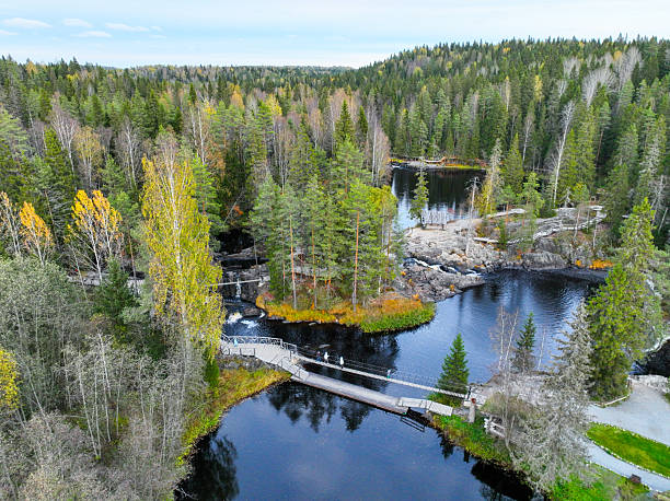 istock Tourists on a wooden bridge over a dark forest river 2240989427