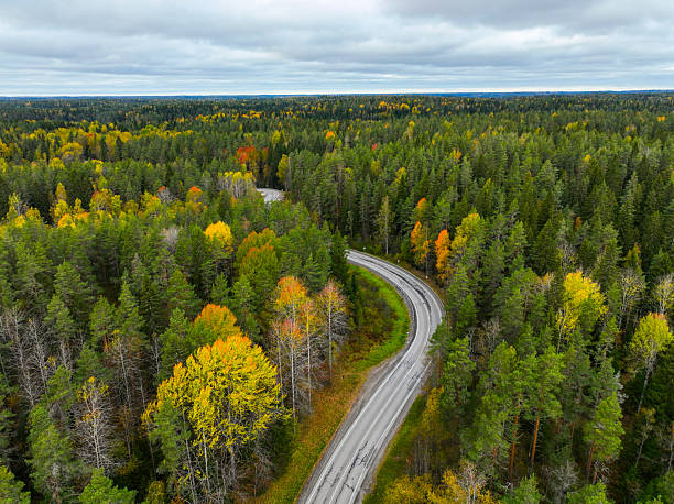 istock Curved asphalt road surrounded by vibrant autumn forest 2240990226