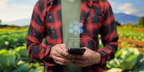 istock Smart Farm UI hologram system control, maintenance, displaying growth information Nutrients, fertilizers, water, insect pests of trees, plants, and vegetables, use technology in agriculture. 2240991988