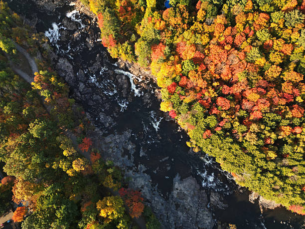 istock Canadian autumn in Laval 2240993501