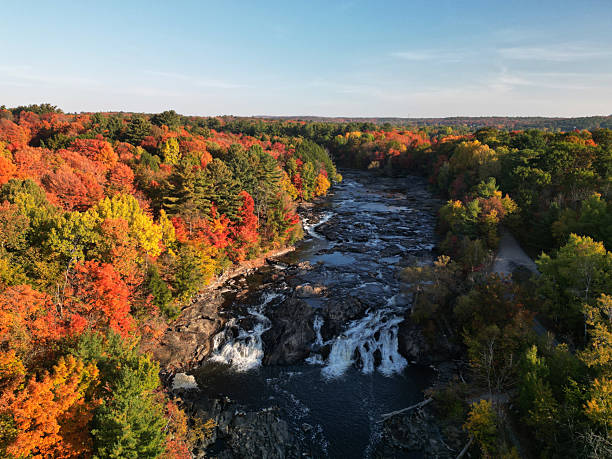 istock Canadian autumn in Laval 2240993589