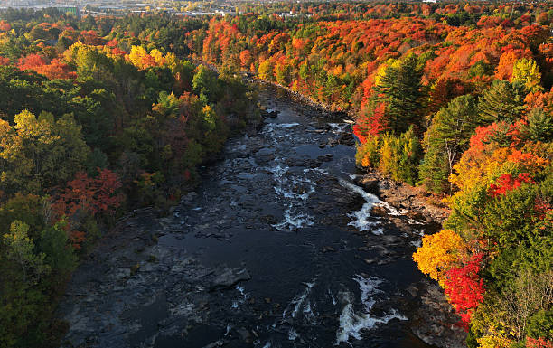 istock Canadian autumn in Laval 2240993687