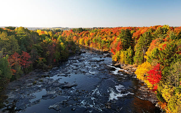 istock Canadian autumn in Laval 2240993776
