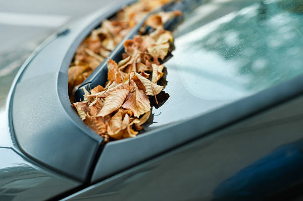 istock Autumn Leaves Accumulating on Car Windshield Base 2240993918