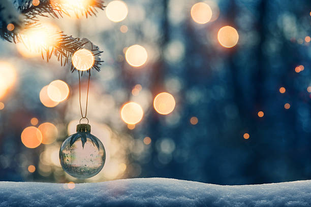 Transparent Christmas ball on snow-covered fir tree on sunset