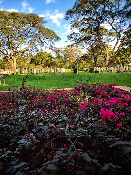 istock World War Cemeteries in Kenya Maintained by the Commonwealth War Graves Commission 2240996393