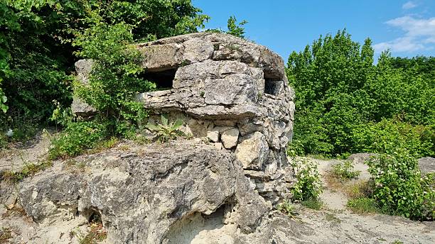 Old stone bunker hidden in forest on rocky hilltop