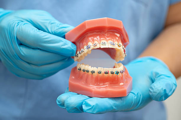 istock Asian dentist holding dental teeth model for learn about dentistry. 2240998759