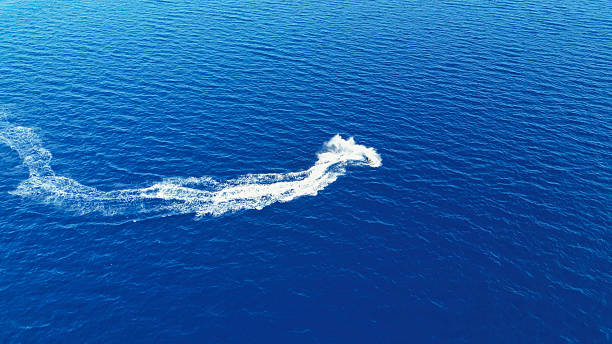 istock Speedboat Motion on Open Sea – Top-Down Drone View 2240999262