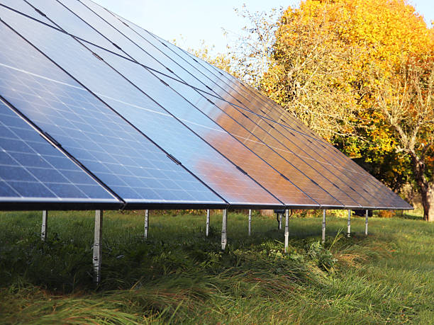 istock Autumn trees and blue sky reflection on solar panels. Solar energy panel photovoltaic cell, power production 2241003474